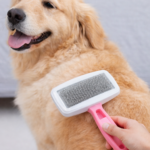 Cepillo para Mascotas Removedor de Pelo con Cerdas Metálicas